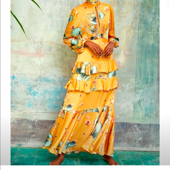 Johanna Ortiz Dresses & Skirts - Johanna Ortiz X H&M Colab Orange floral maxi dress